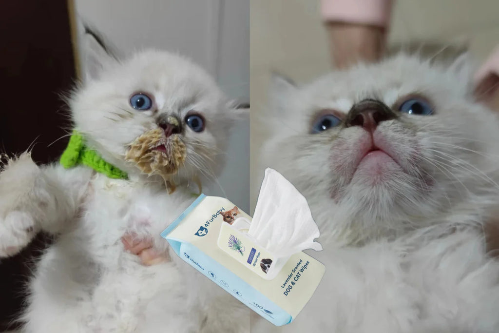 Plant-Based Pet Wipes for Dogs & Cats – Hypoallergenic, Gentle, Cleaning & Hydrating for Paws, Body & Butt – Daily Grooming Use – 400 Count