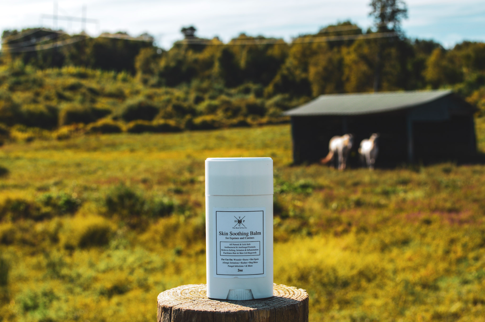 Skin Soothing Balm for Dogs & Horses - 2oz