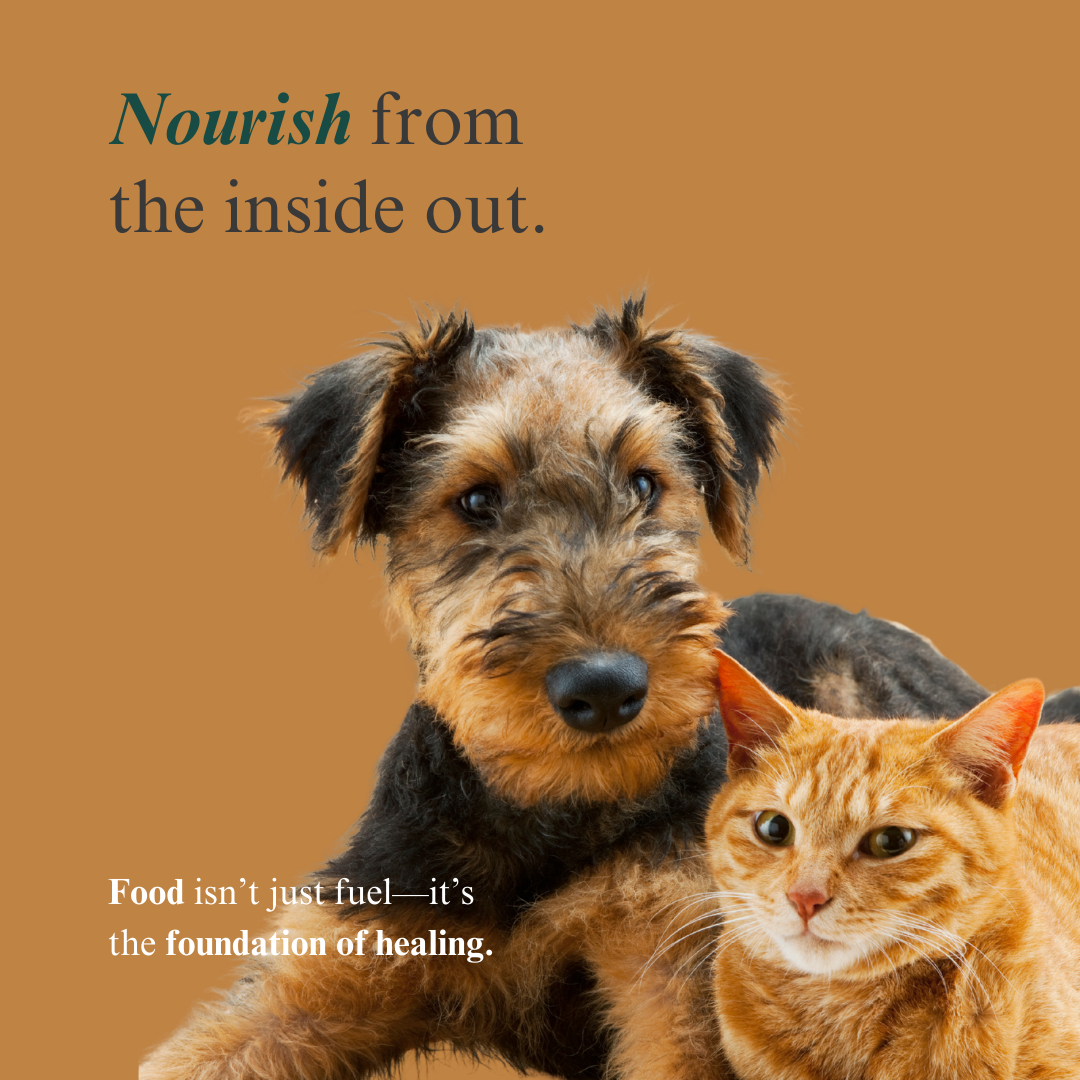 Whole Pet Wellness Academy: The Pet Parent Holistic Health Toolkit