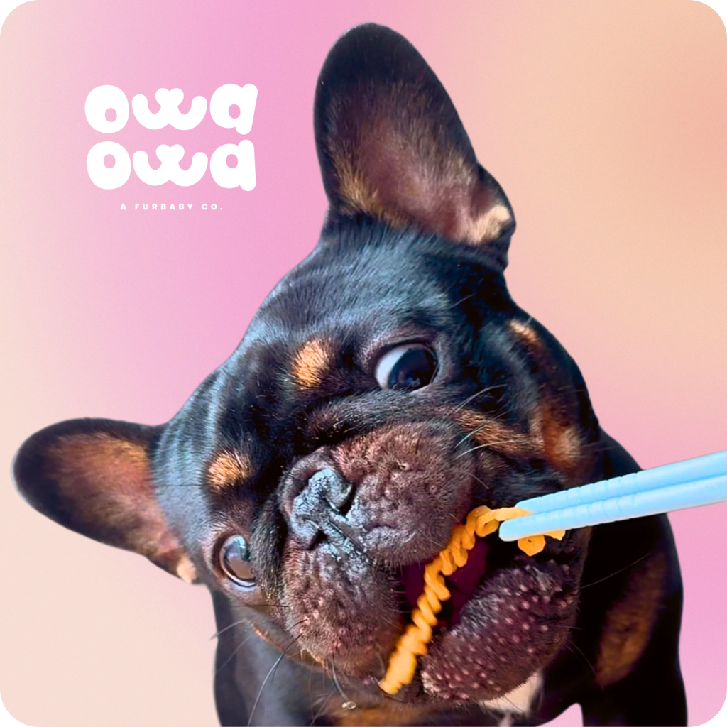 Pup Noodles™ – Chicken