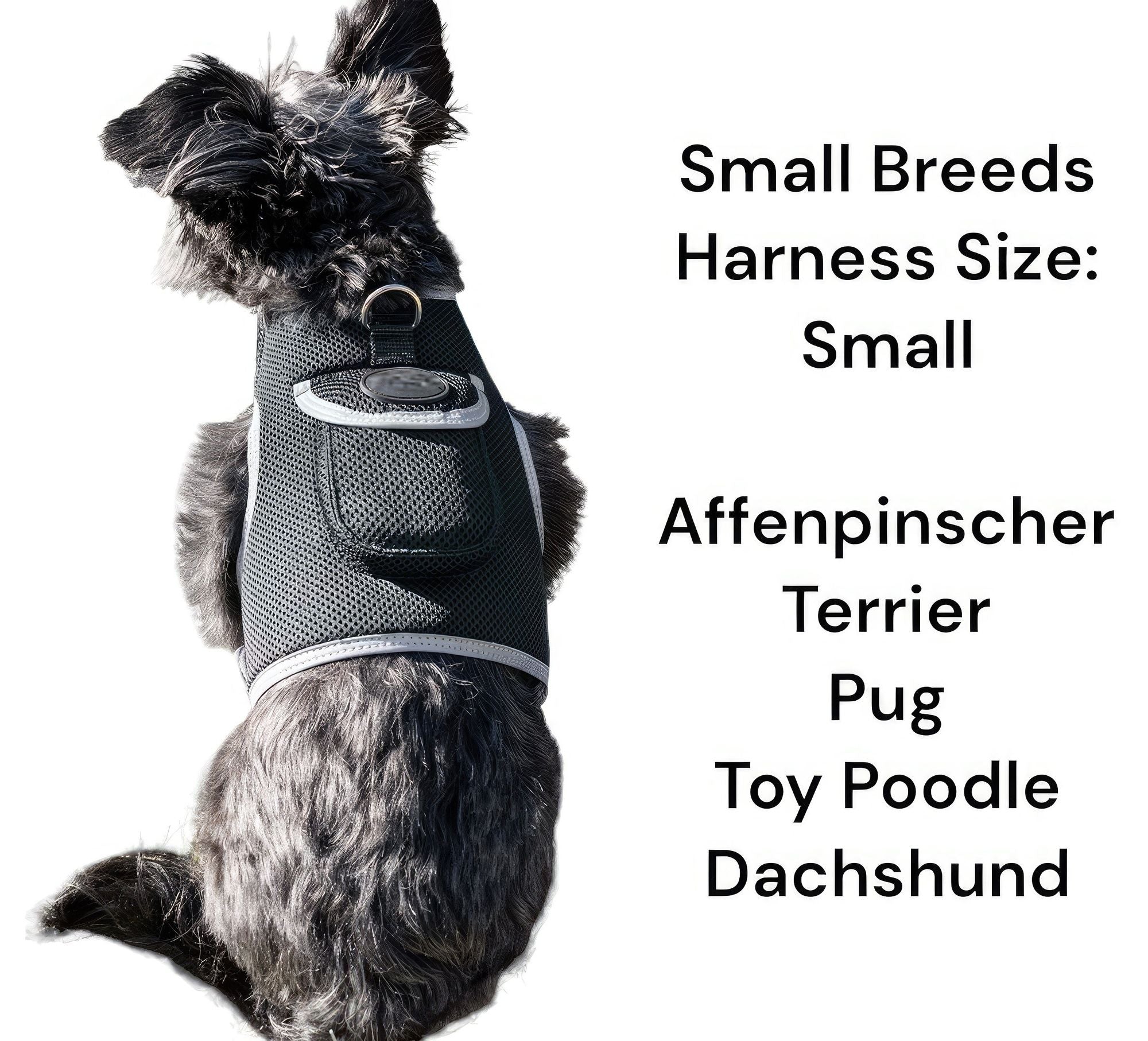 Waterproof Mini Pet Location Finder w/ Pet GPS Tracking Cell Phone App Size:M