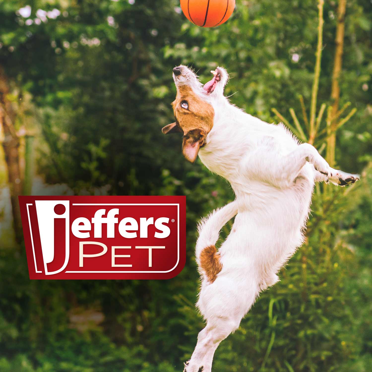 Jeffers Double-Sided Flex Head Pet Grooming Slicker Brush