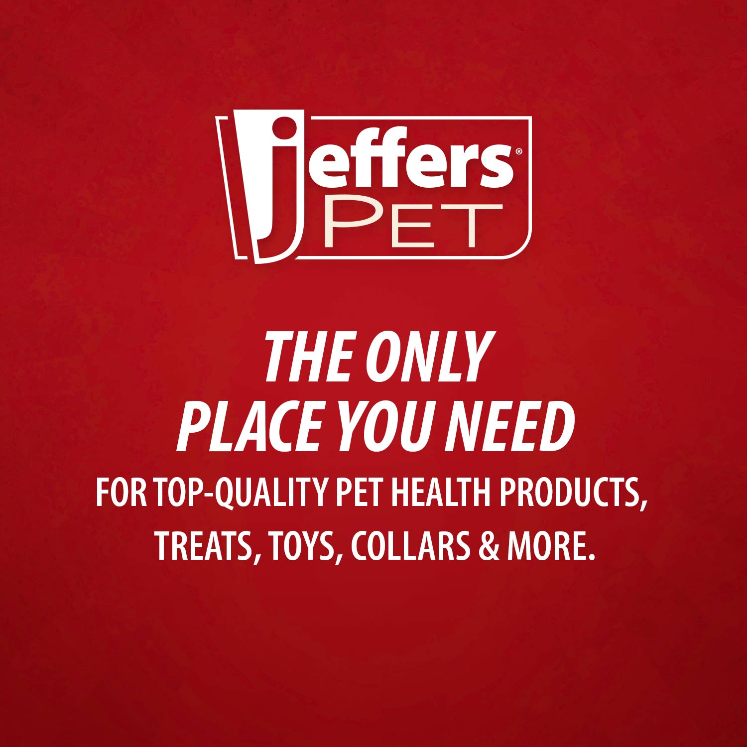 Jeffers Self-Cleaning Slicker Pet Grooming Brush