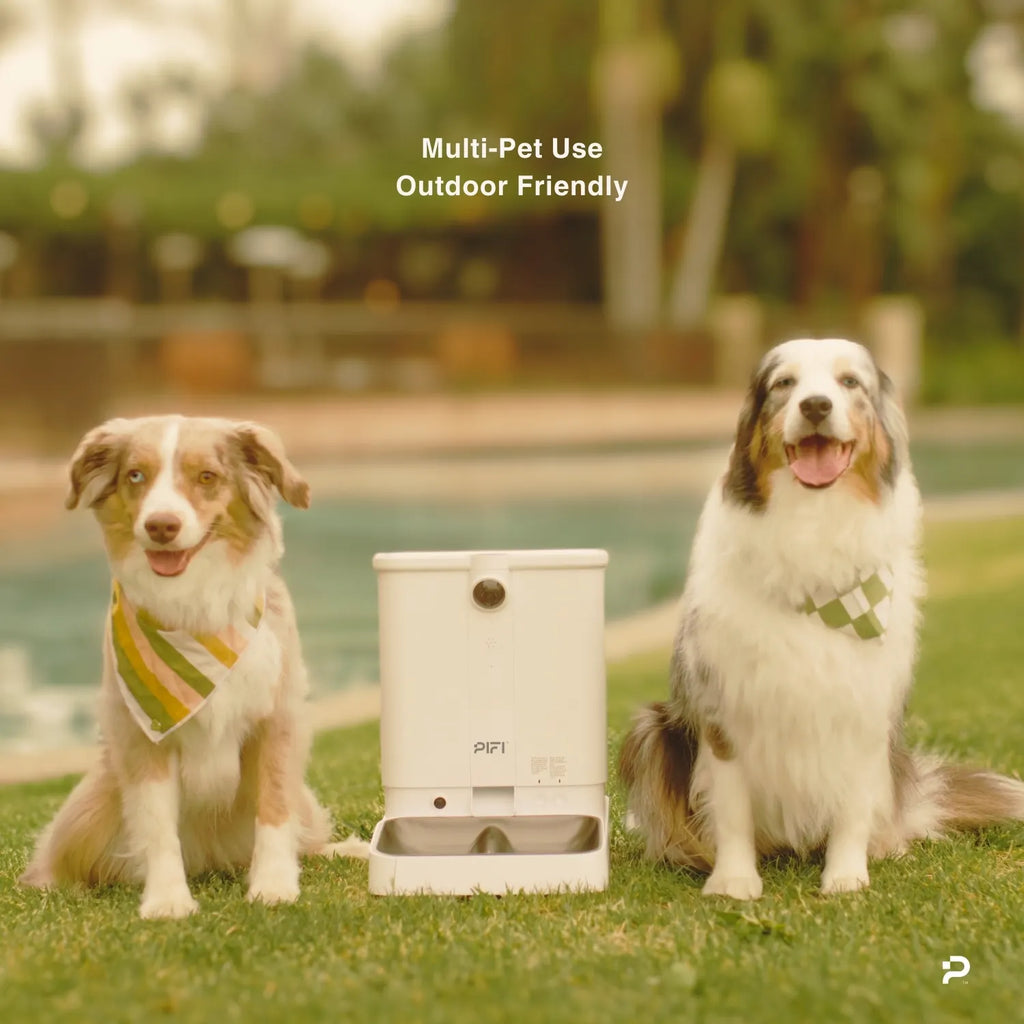 All-in-One Smart Pet Feeder